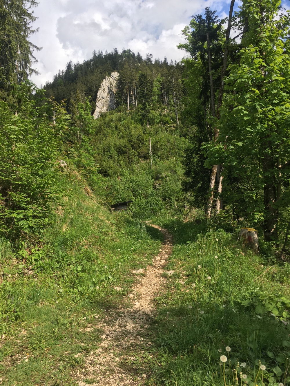 Wanderung Breitenstein: Hier zum Jägerstand und gleich links bergauf
