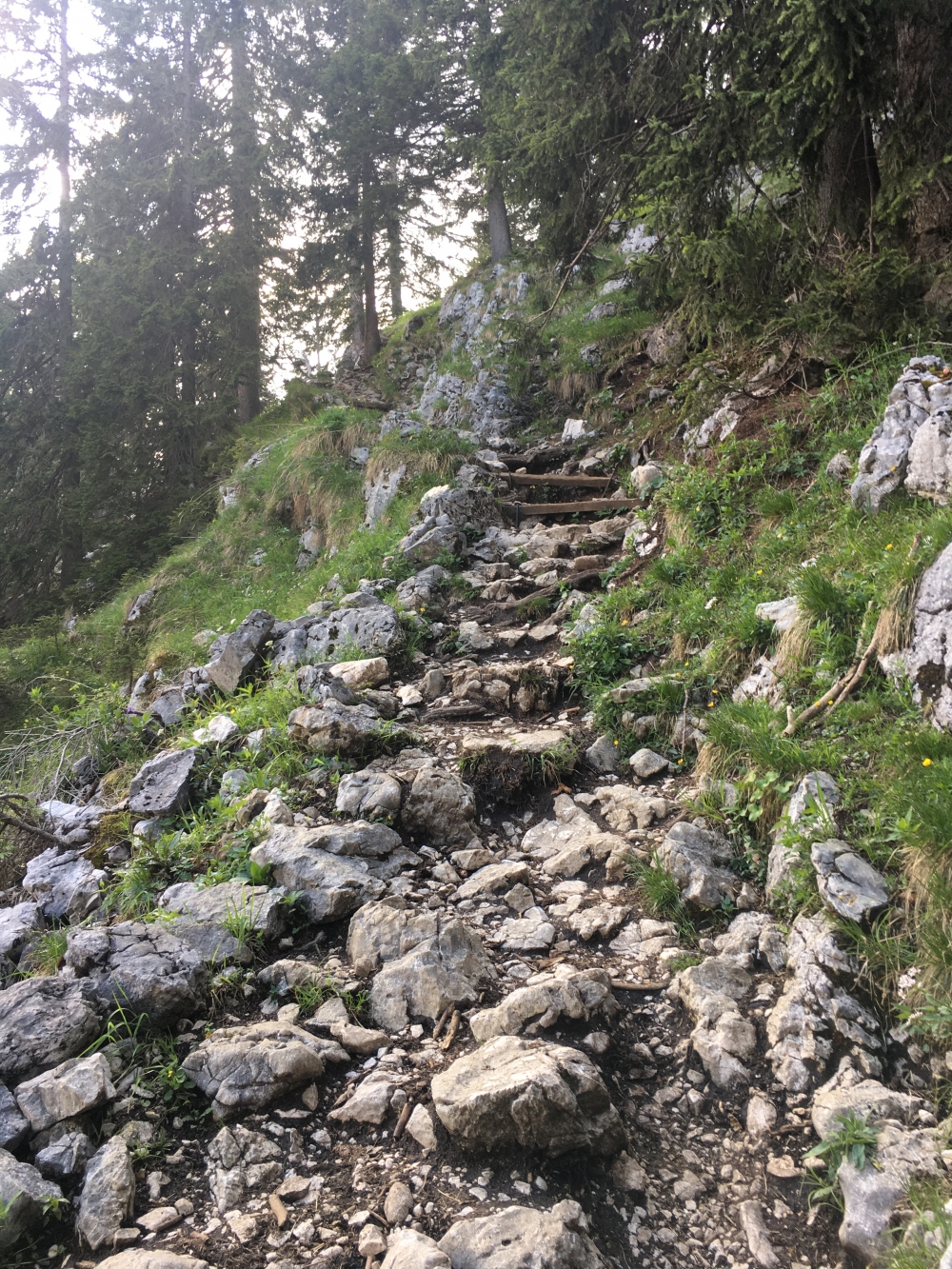 Wanderung Breitenstein: Die letzten Meter zur Hütte