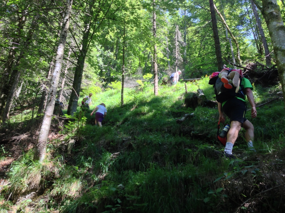 Wanderung Breitenstein vom Walchsee: Anstieg zum Wasserfall