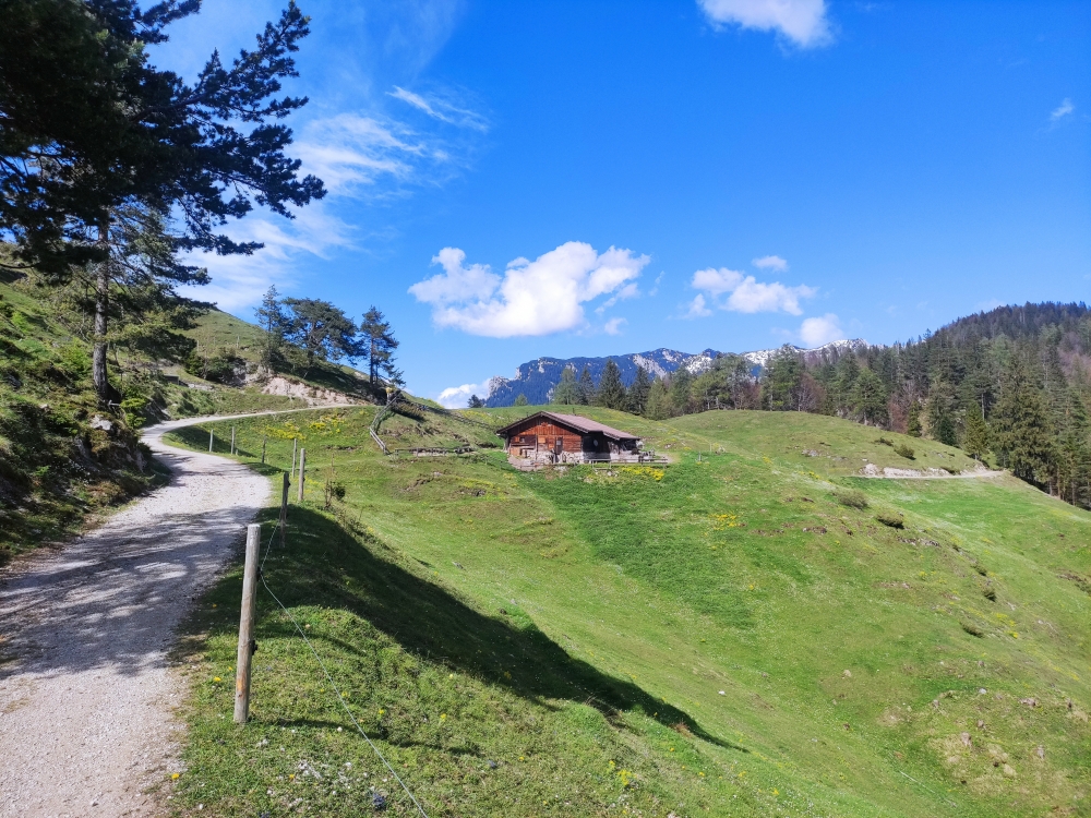 Wanderung Kaindlhütte über Berghaus Aschenbrenner: Wanderung Kaindlhütte über Berghaus Aschenbrenner: Brentenjoch-Alm