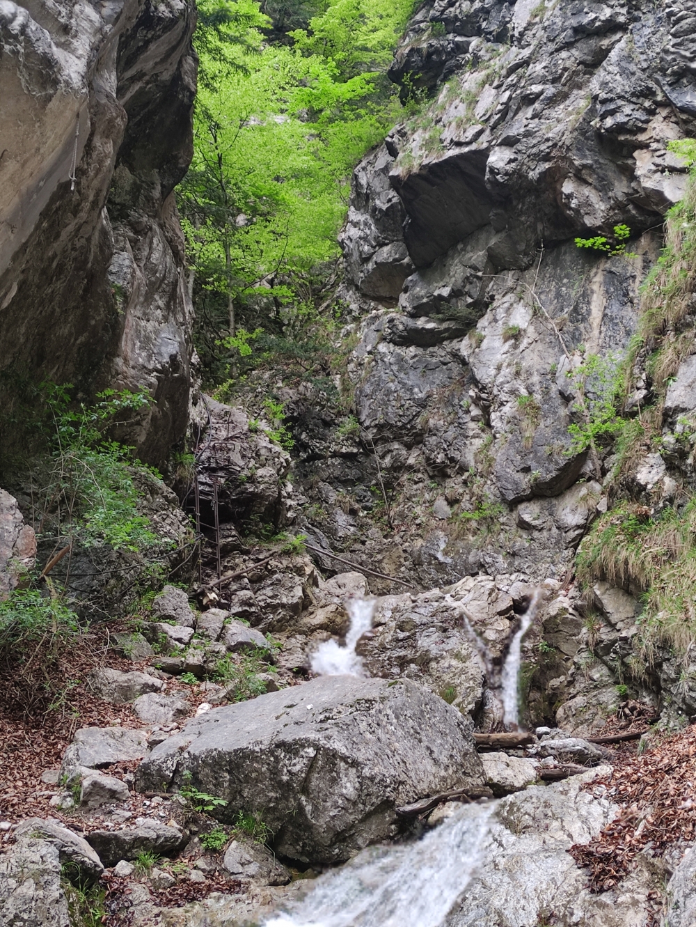 Wanderung Bruggerdenkmal: Leiter ohne festen Halt und mit fehlenden Sprossen 