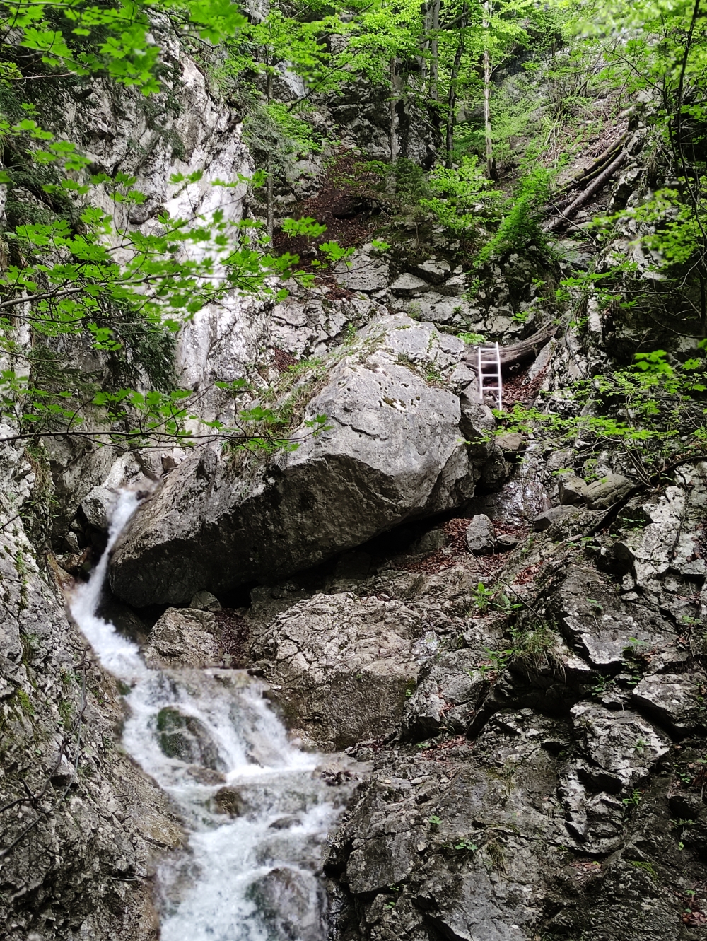Wanderung Bruggerdenkmal: Hier rechts über die Leiter oder links auf abgebogen Eisenstifen