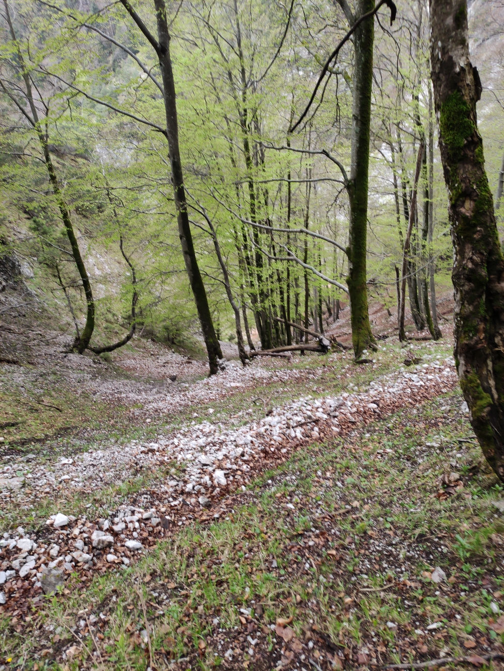 Wanderung Bruggerdenkmal: Steile Serpentinen
