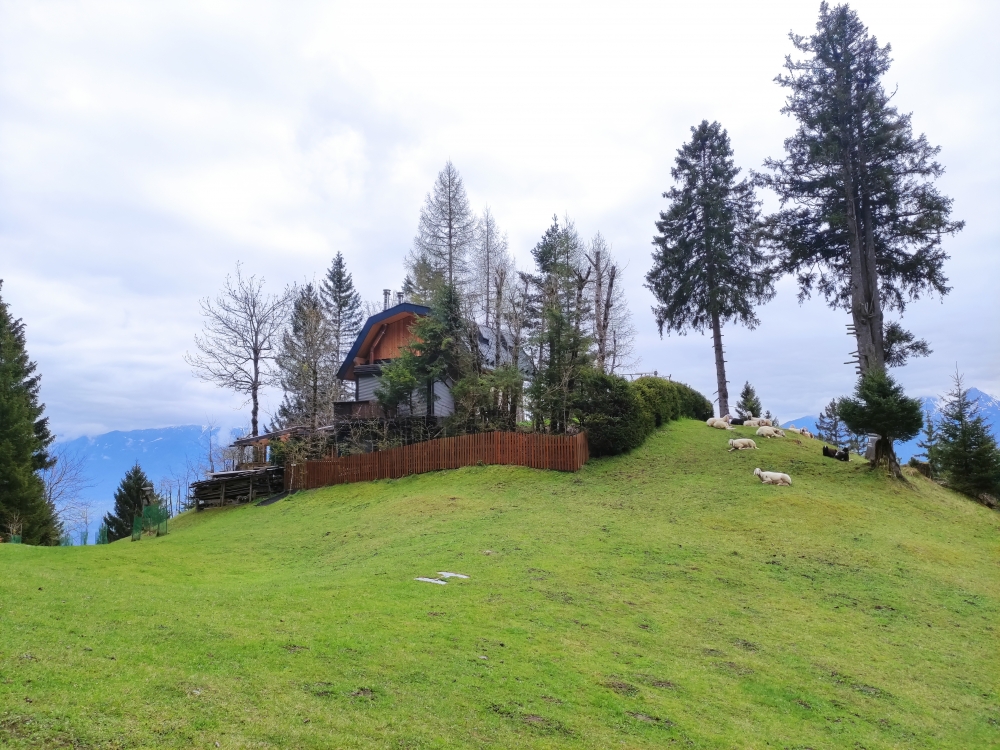 Wanderung Bruggerdenkmal: Am Jagdhaus Klammegg vorbei