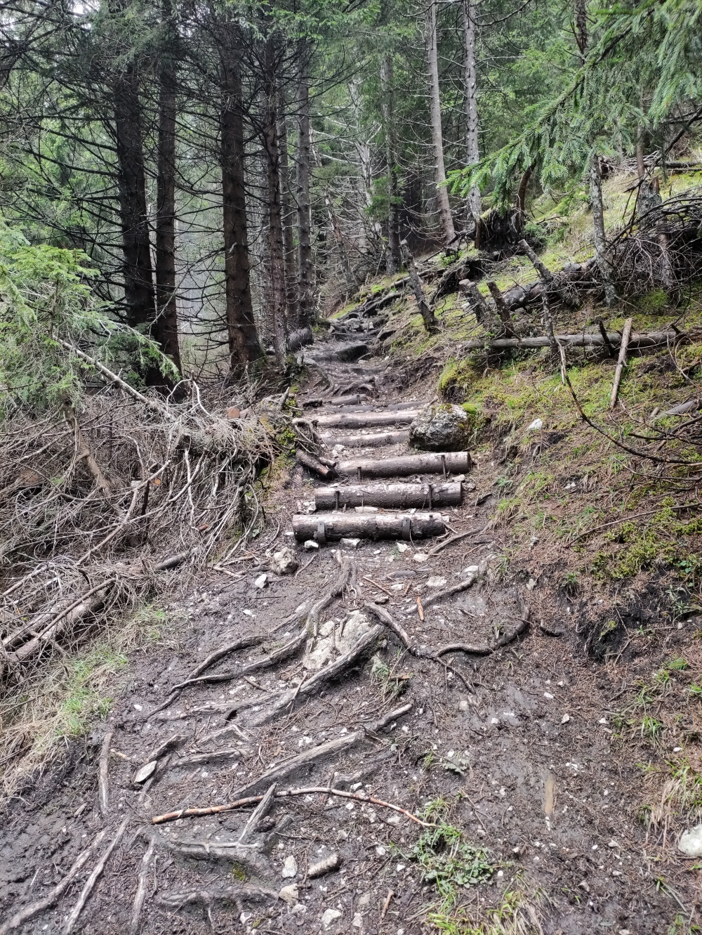 Wanderung Bruggerdenkmal: Neue Stufen