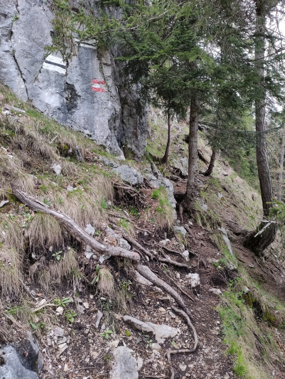 Wanderung Bruggerdenkmal: Steig
