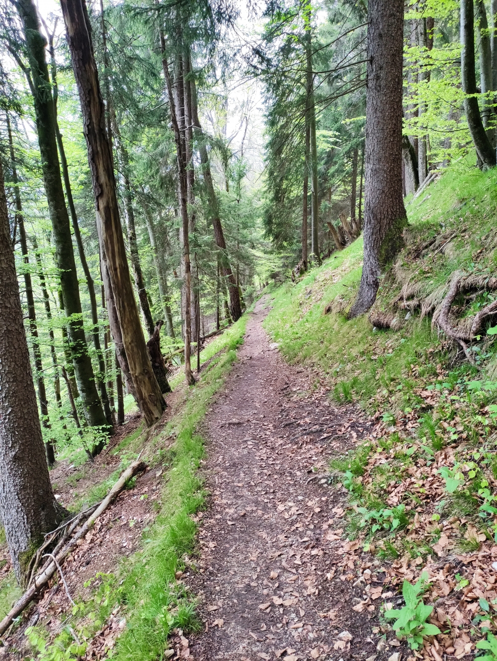 Wanderung Bruggerdenkmal: Weg