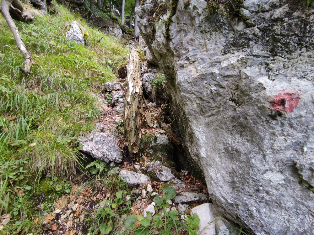 Wanderung Brunnensteinkopf: Ein mit roten Punkten markierter alter Steig