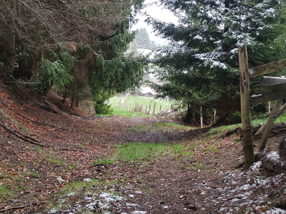 Wanderung Buch: Weg