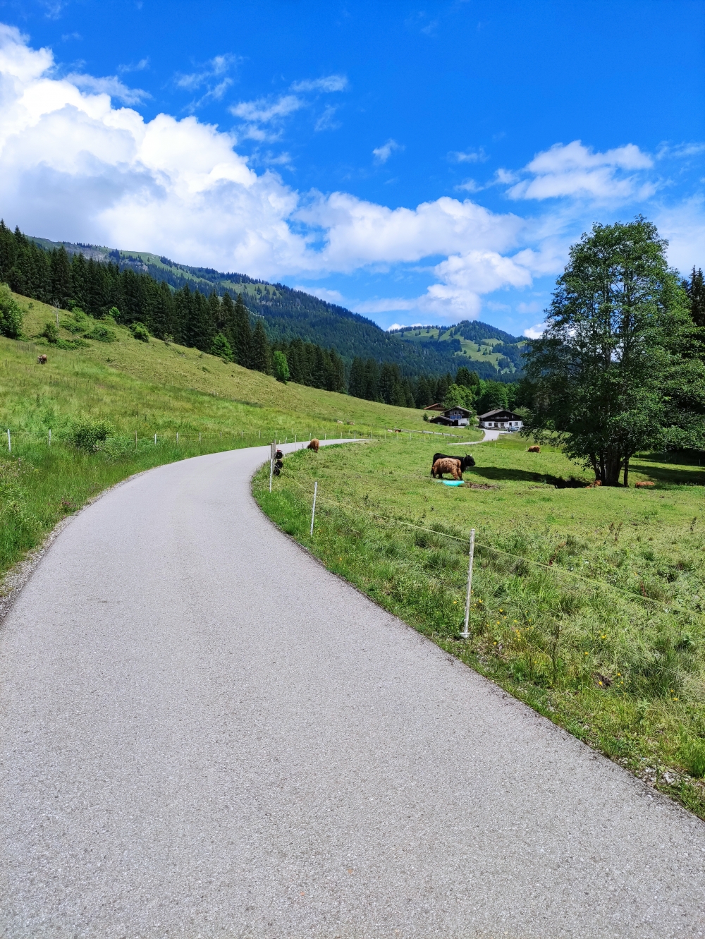 Wanderung Gunzesrieder Tobel: Teerstraße
