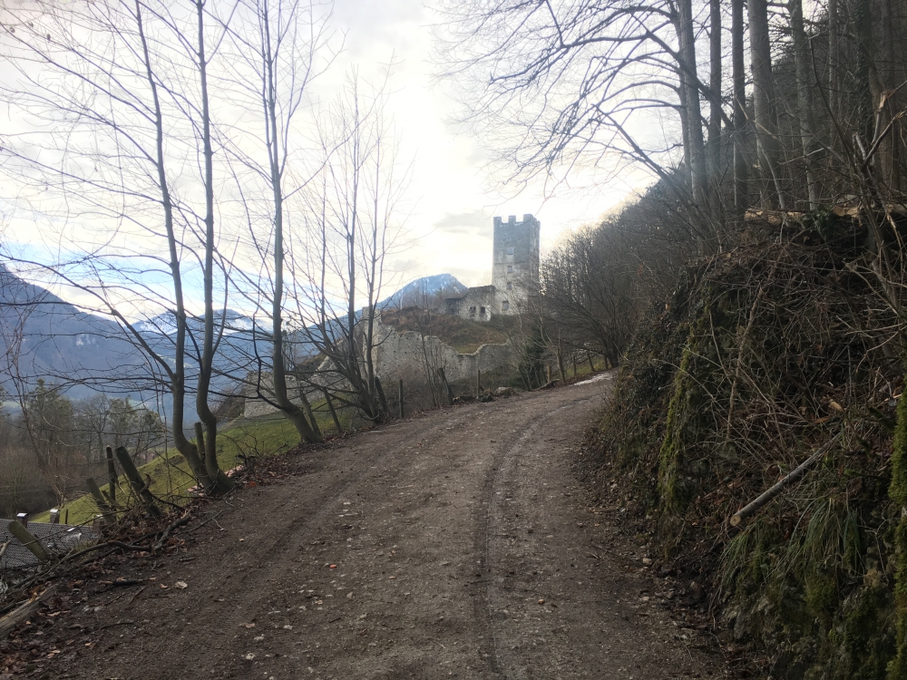 Wanderung Große Riesenkopfrunde: Kurz nach dem Parkplatz sieht man schon die Ruine Falkenstein