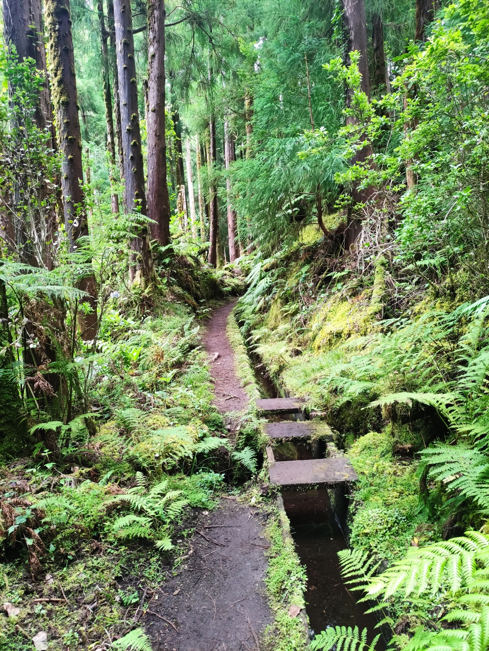Wanderung Levada und Cabeco dos Trinta: Entlang des Wasserkanals