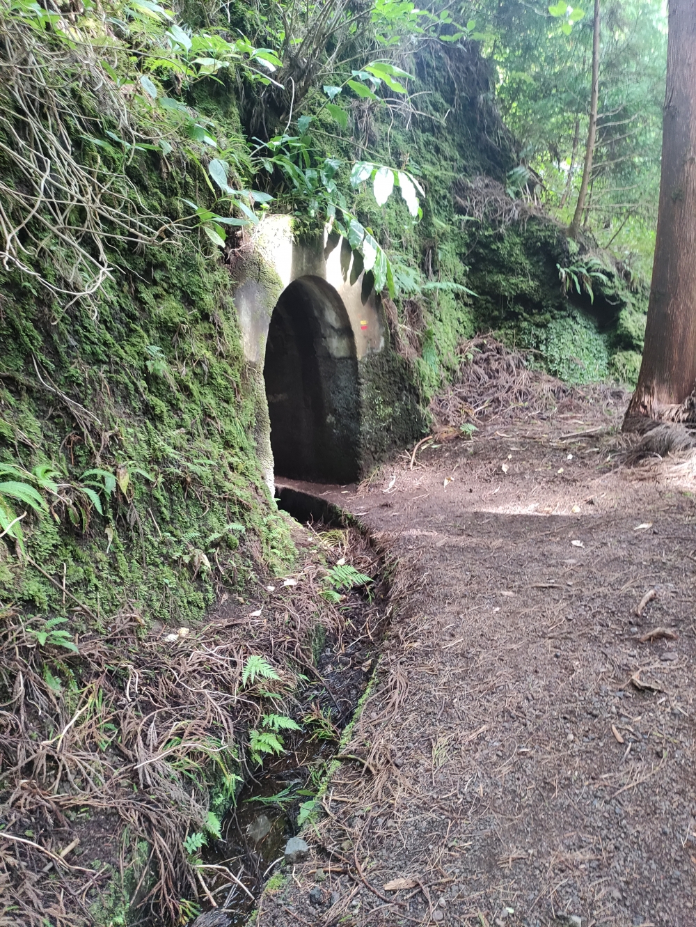 Wanderung Levada und Cabeco dos Trinta: Durch den Tunnel