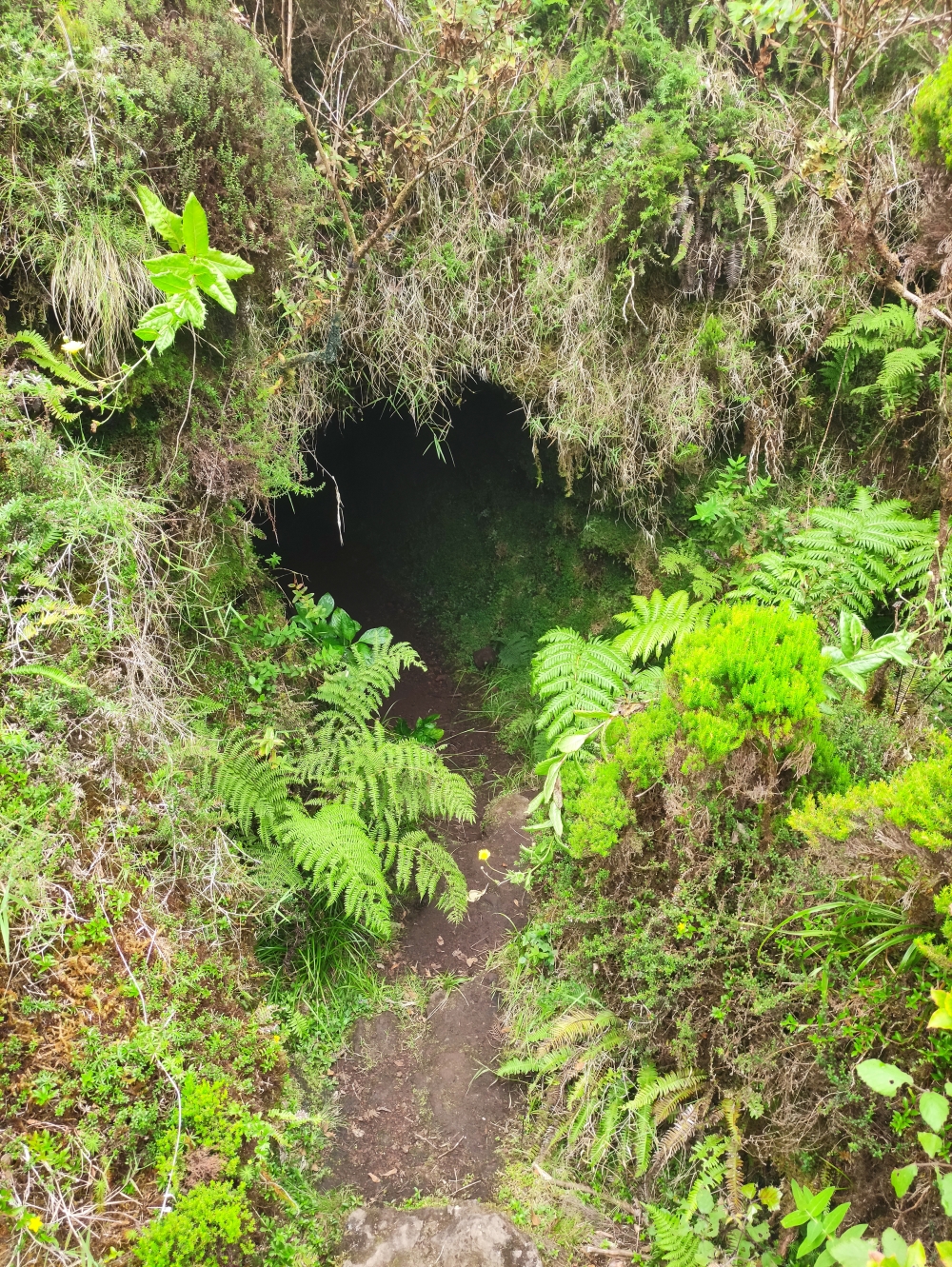 Wanderung Levada und Cabeco dos Trinta: Durch den Tunnel in den Krater