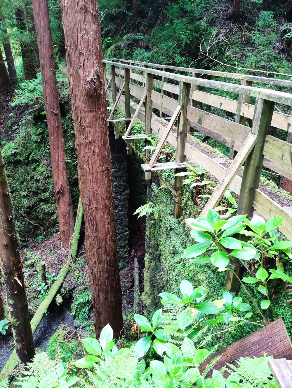 Wanderung Levada und Cabeco dos Trinta: Eine der Brücken