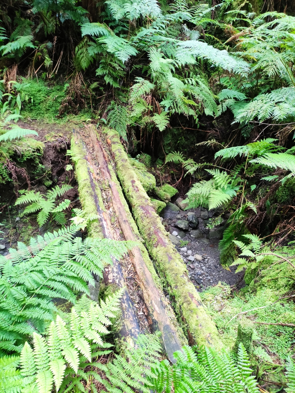 Wanderung Levada und Cabeco dos Trinta: Ersatzbrücke da die Levada-Brücke eingefallen ist
