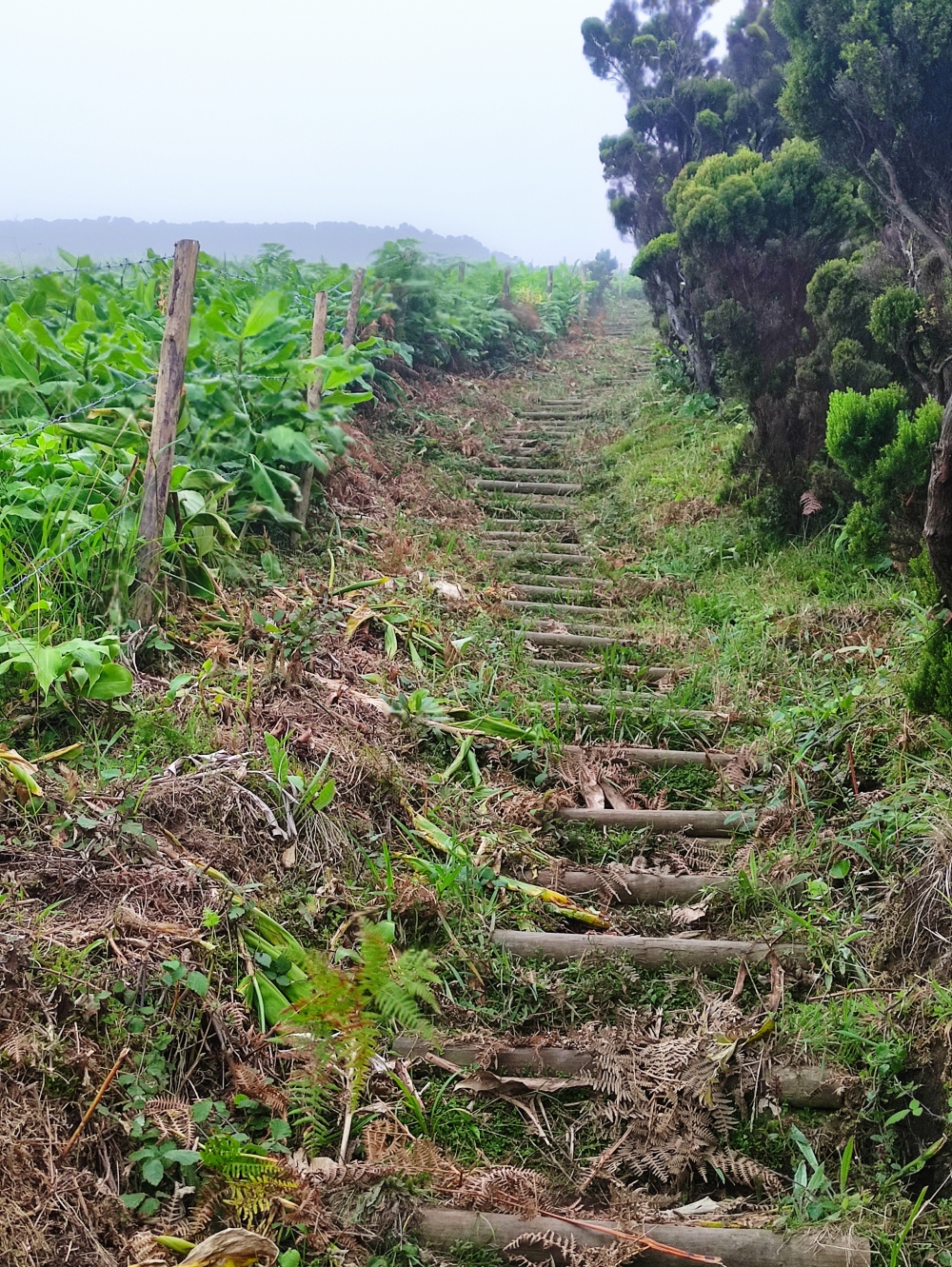 Wanderung Cabeco Verde: Unendlich viele Stufen
