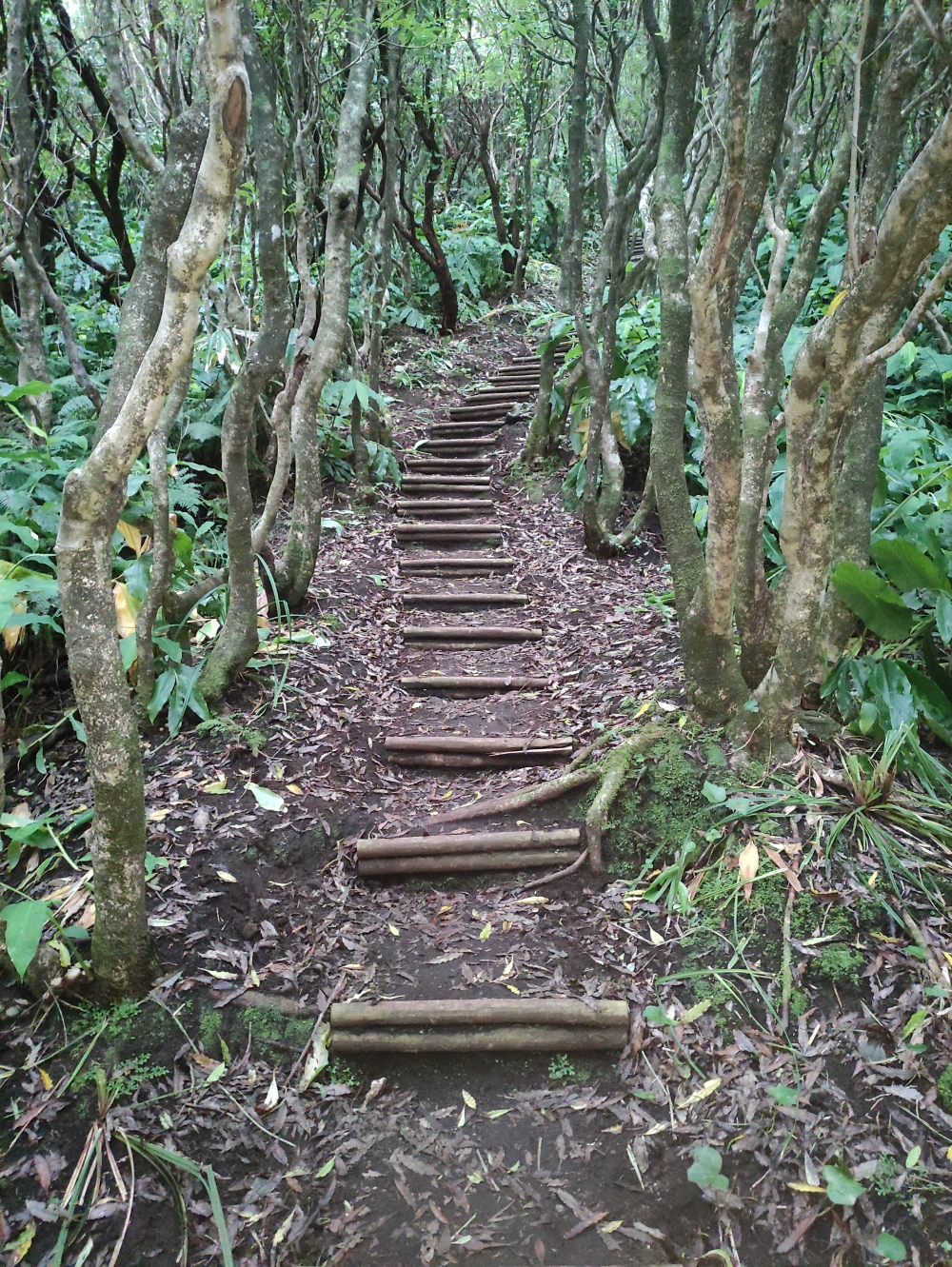 Wanderung Cabeco Verde: Aufstieg zur Aussichtsloge