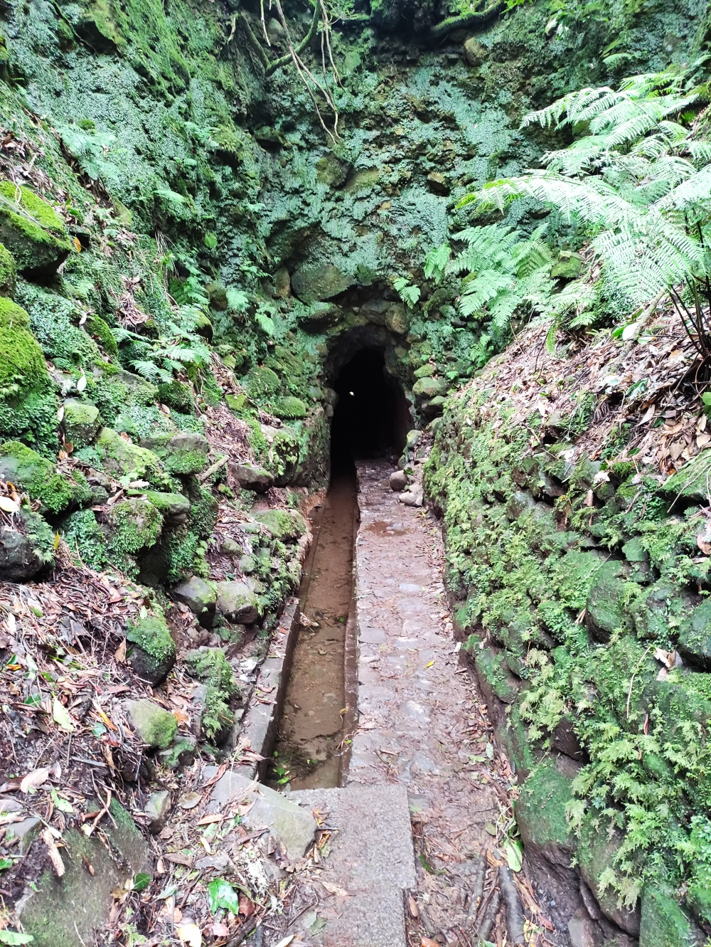 Wanderung PR9 Levada do Caldeirão Verde: Der lange Tunnel auf dem PR9