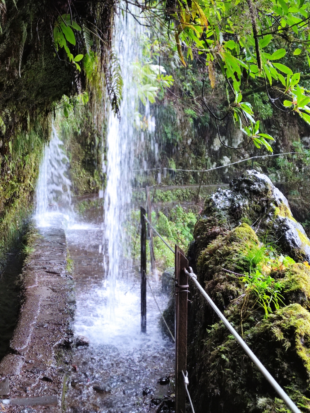 Wanderung PR9 Levada do Caldeirão Verde: Durch den Wasserfall