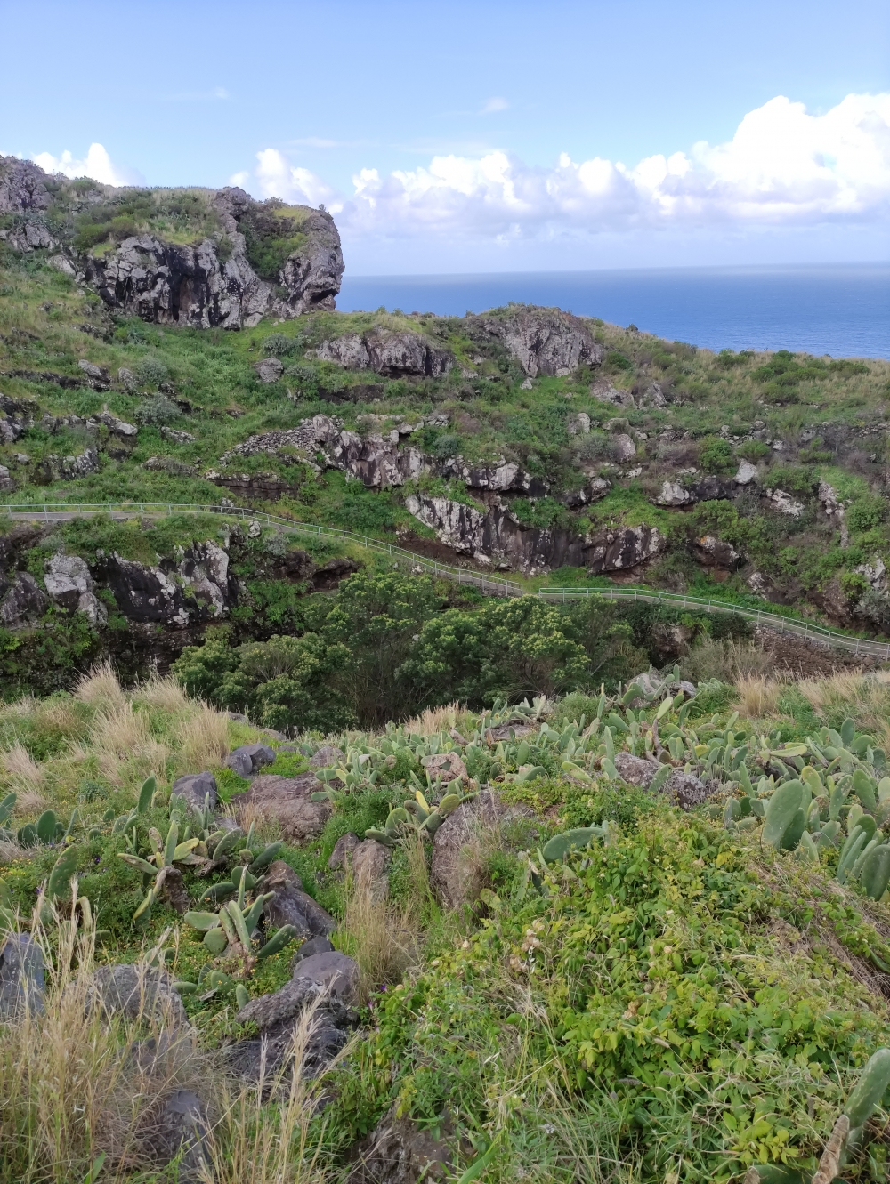 Wanderung Calhau da Lapa: Trittspur durch die Kakteen