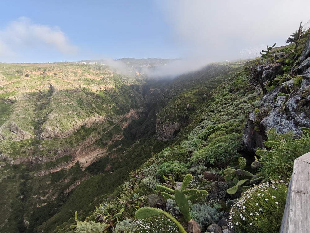 Wanderung Camino del Risco de las Pencas: Blick in die Schlucht