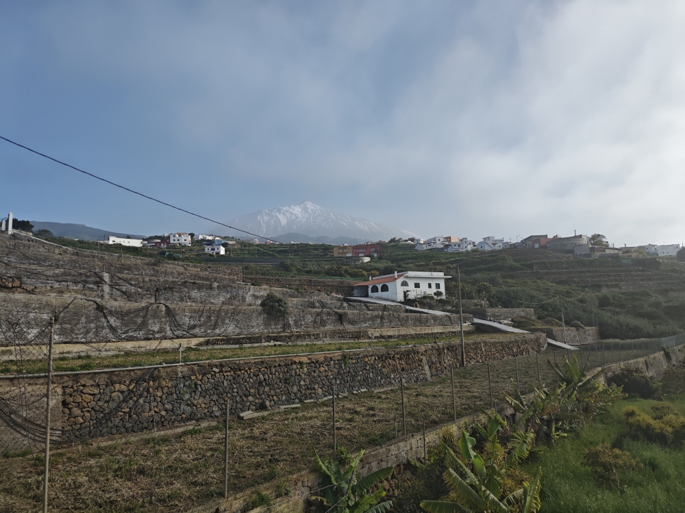 Wanderung Camino del Risco de las Pencas: Sonnenterrassen