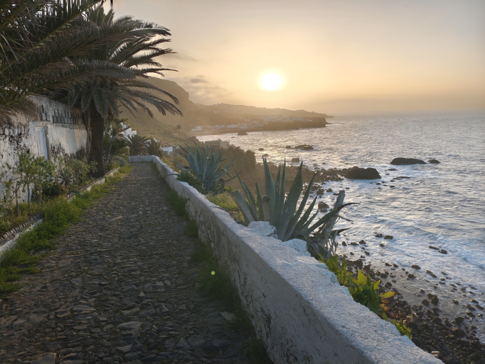 Wanderung Camino del Risco de las Pencas: Durch La Rambla zurück