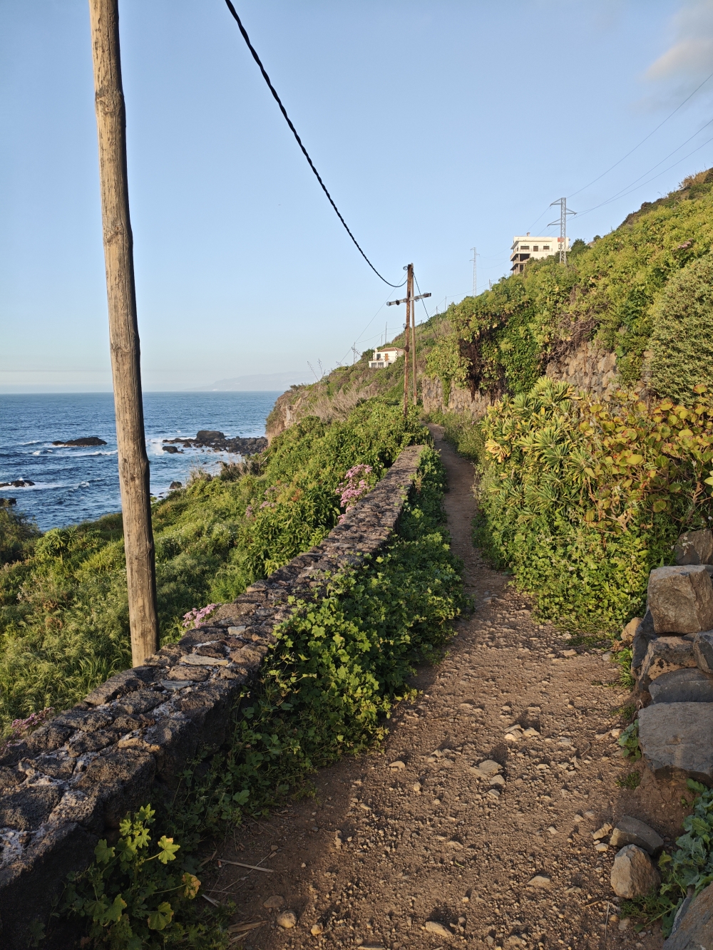 Wanderung Camino del Risco de las Pencas: Wanderung Camino del Risco de las Pencas: Camino Ribera del Mar