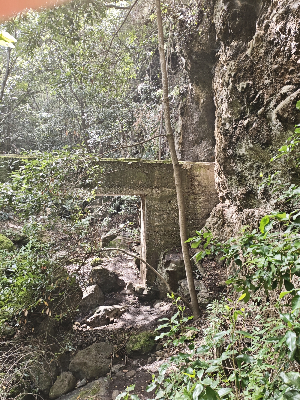 Wanderung Cuevas Negras und Monte del Agua: Wanderung Cuevas Negras und Monte del Agua: Wasserleitung (Canal de Enlace)