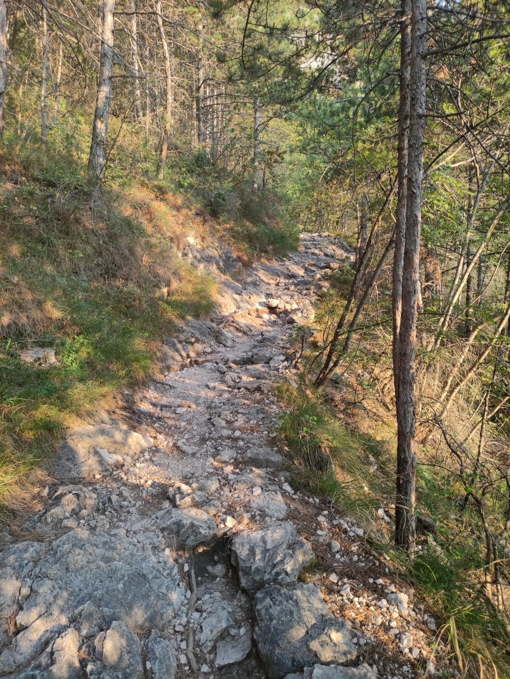 Wanderung Capanna Santa Barbara: Wanderweg
