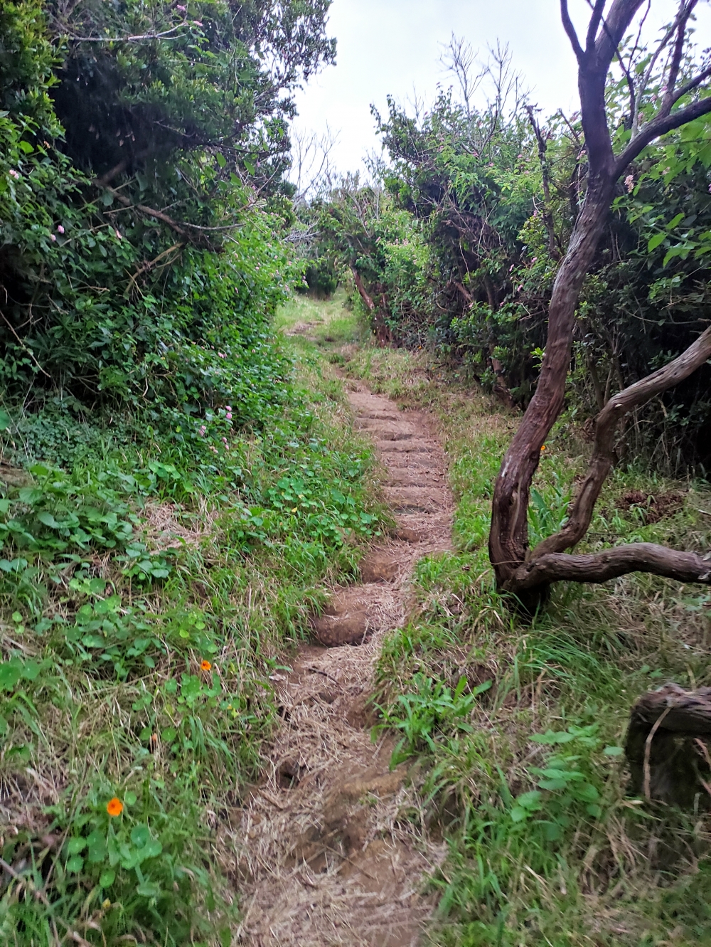 Wanderung Monte da Guia: Unzählige Treppenstufen