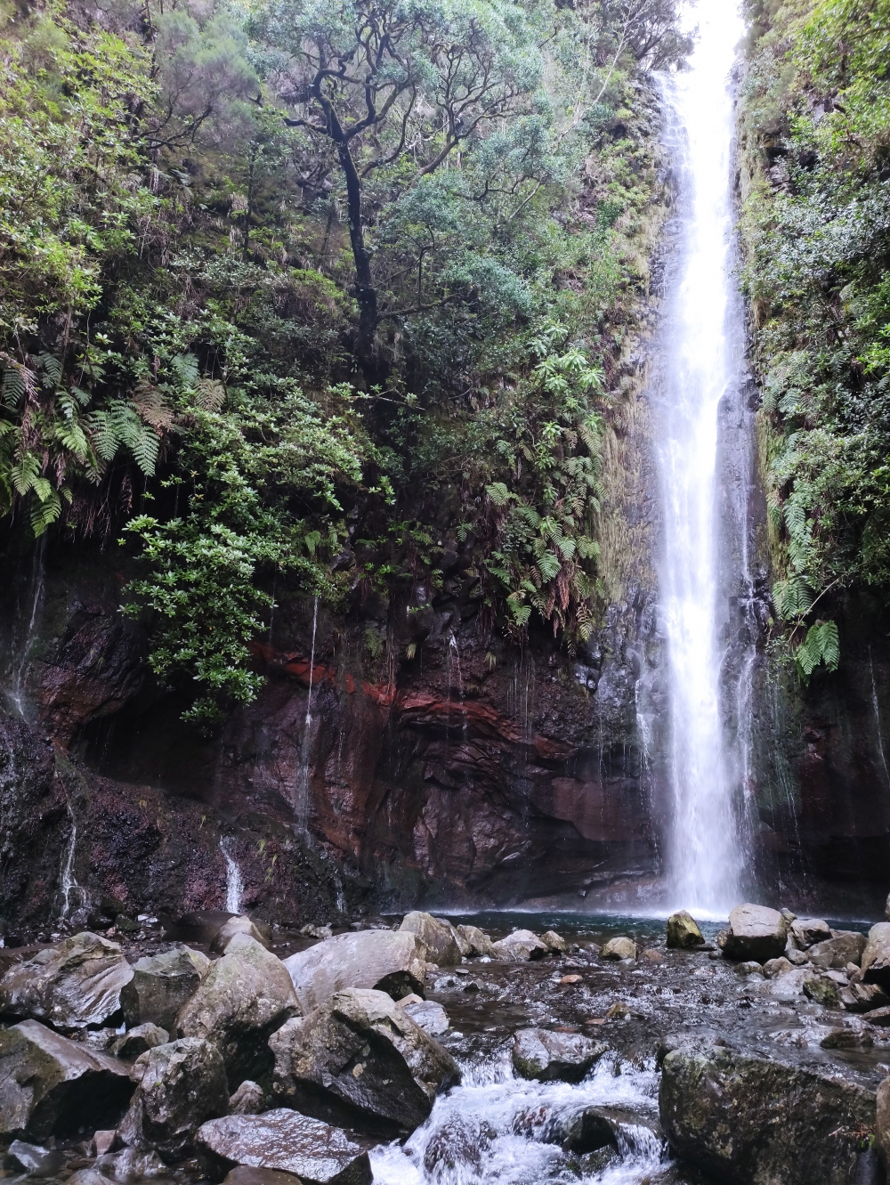 Wanderung PR6 Levada do Risco - Levada das 25 Fontes : Wanderung PR6 Levada do Risco - Levada das 25 Fontes : Cascata das 25 Fontes