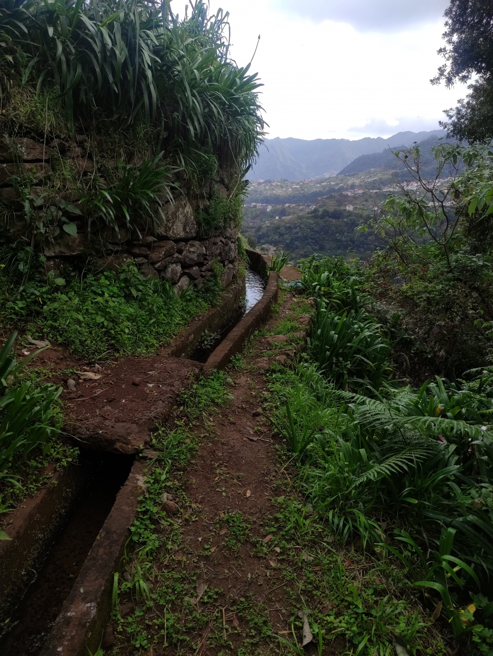 Wanderung Cascata de Agua D'Alto: Vereda da Levada da Aqua de Alto