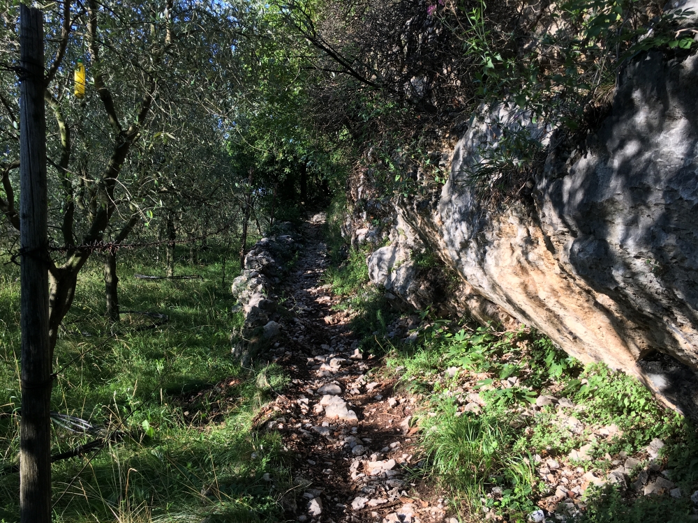 Wanderung Castel Penede: Aufstieg auf den Burgberg