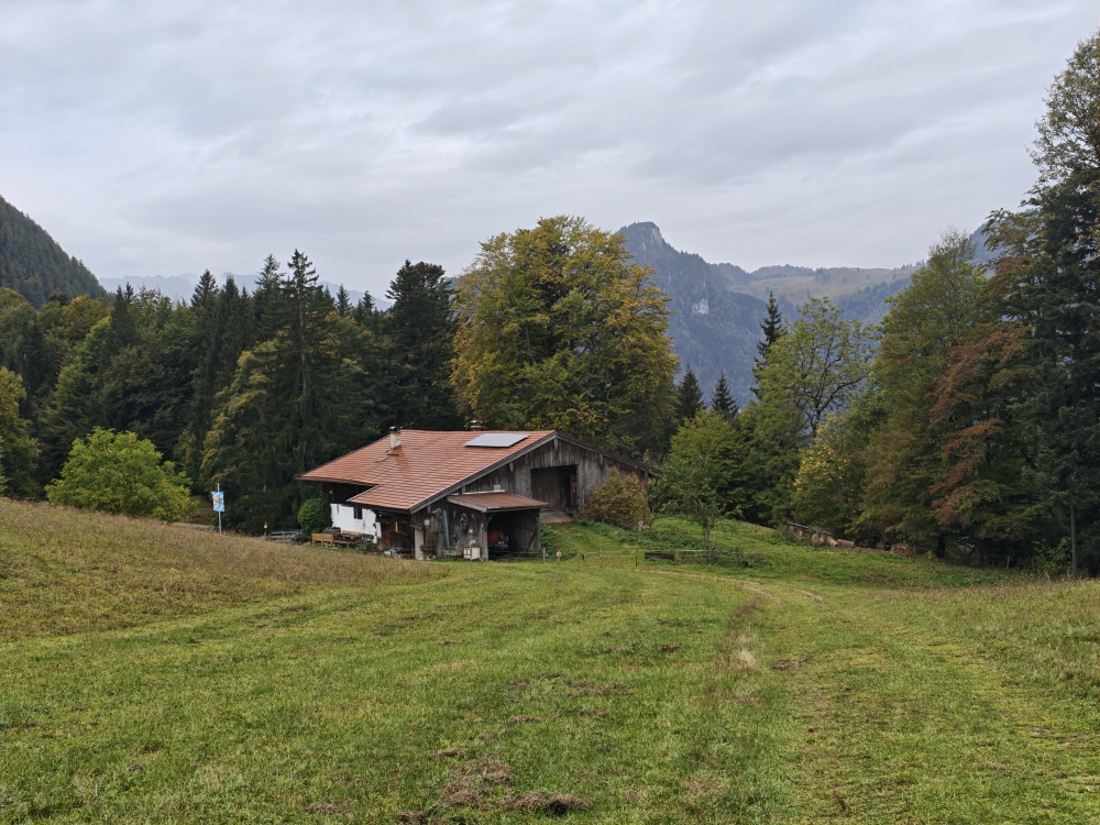 Wanderung Gscheuerwand: Wanderung Gscheuerwand: Chiemhauser-Alm