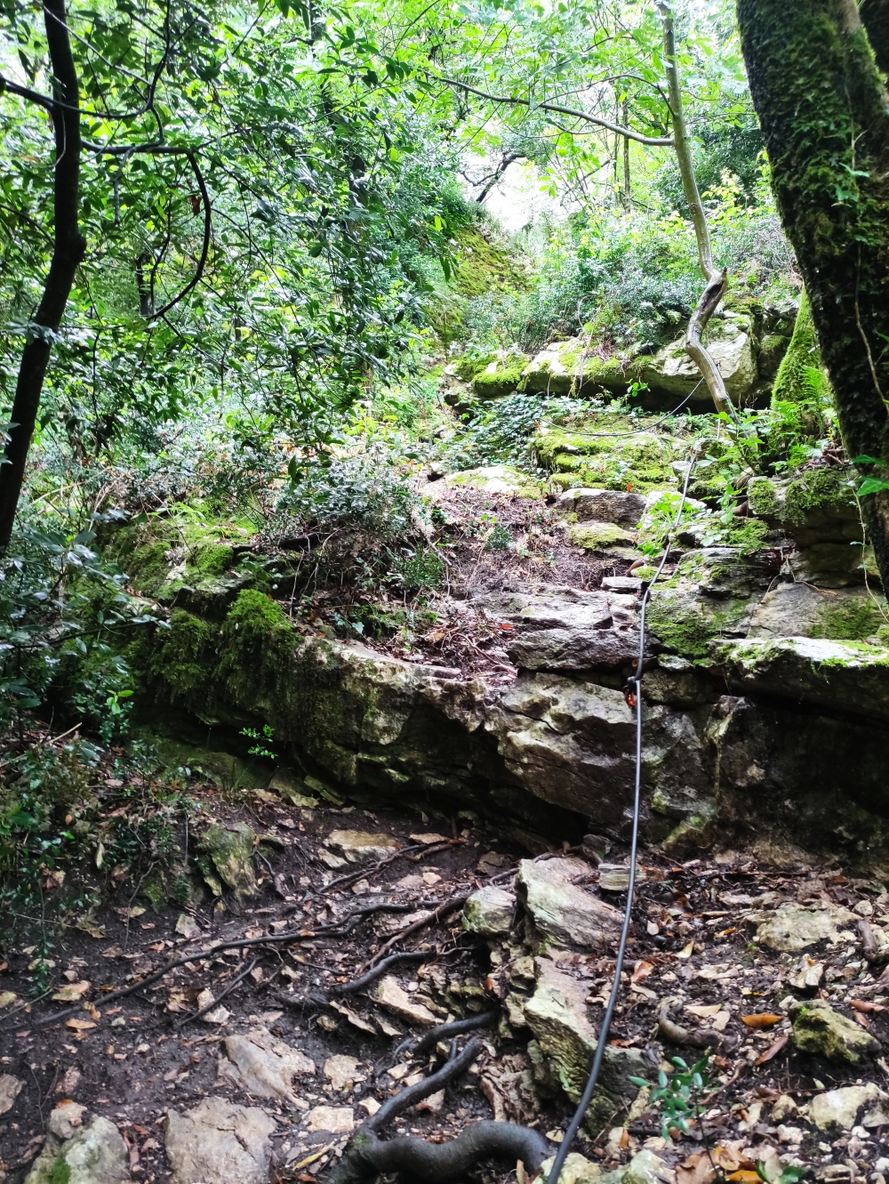 Wanderung Cingarella Höhle und Wasserfall: Seilgesichter Aufstieg zur Höhle