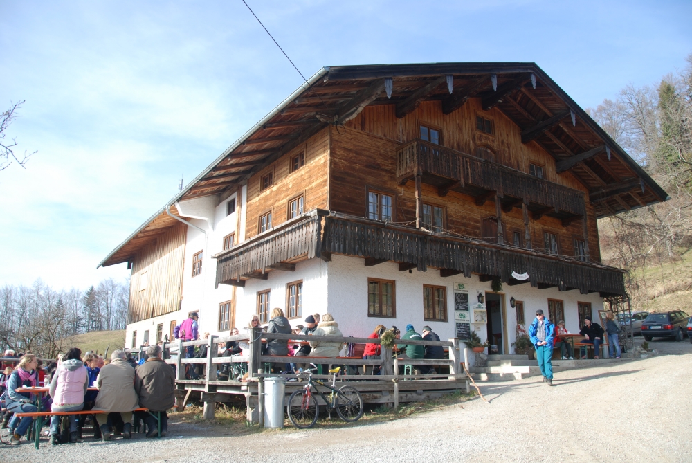 Wanderung Dandlberg: Wanderung Dandlberg: Dandlbergalm (Dandlberg-Alm)