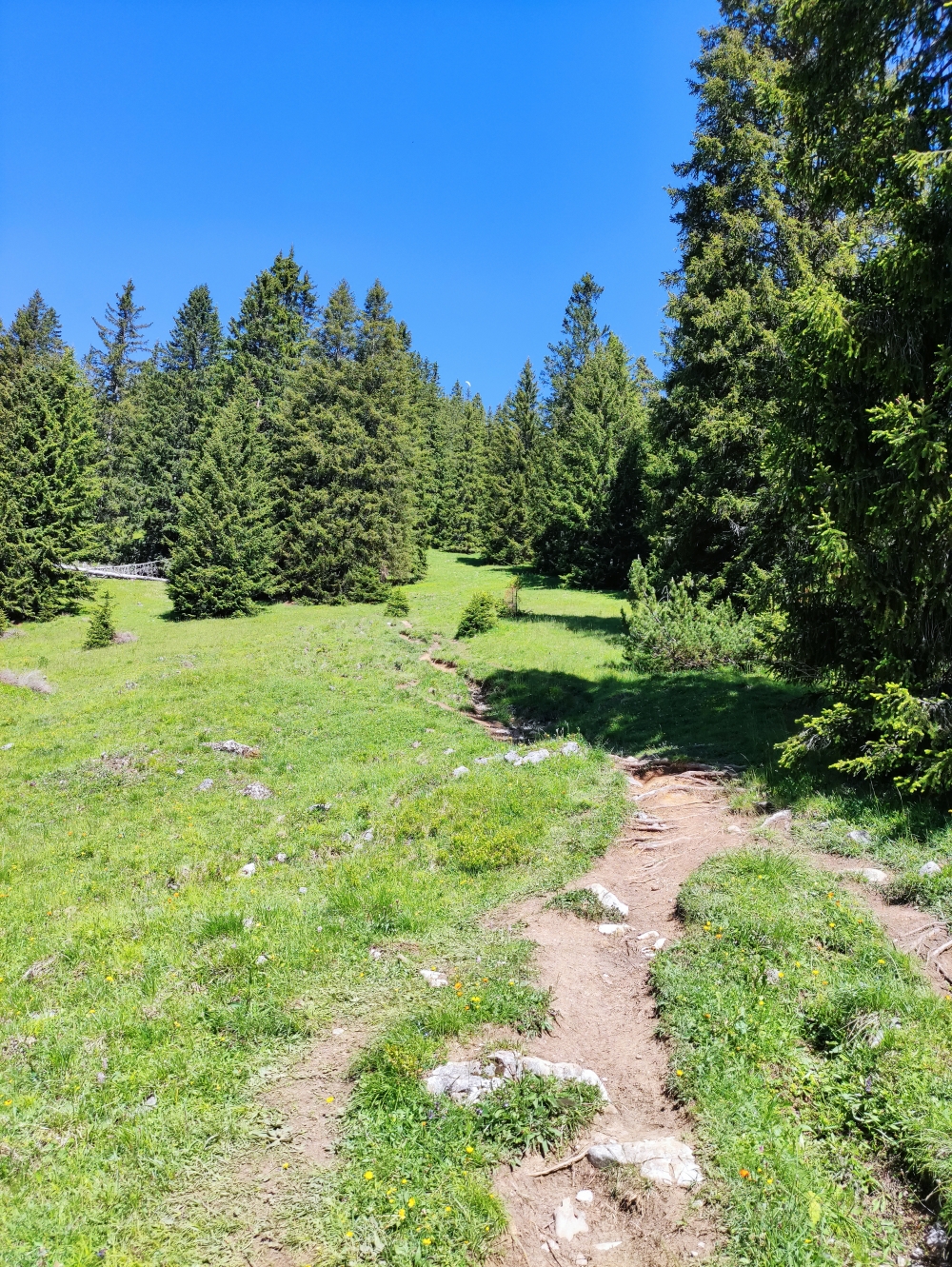Wanderung Daniel mit Gratüberschreitung: Unten über Wiesen