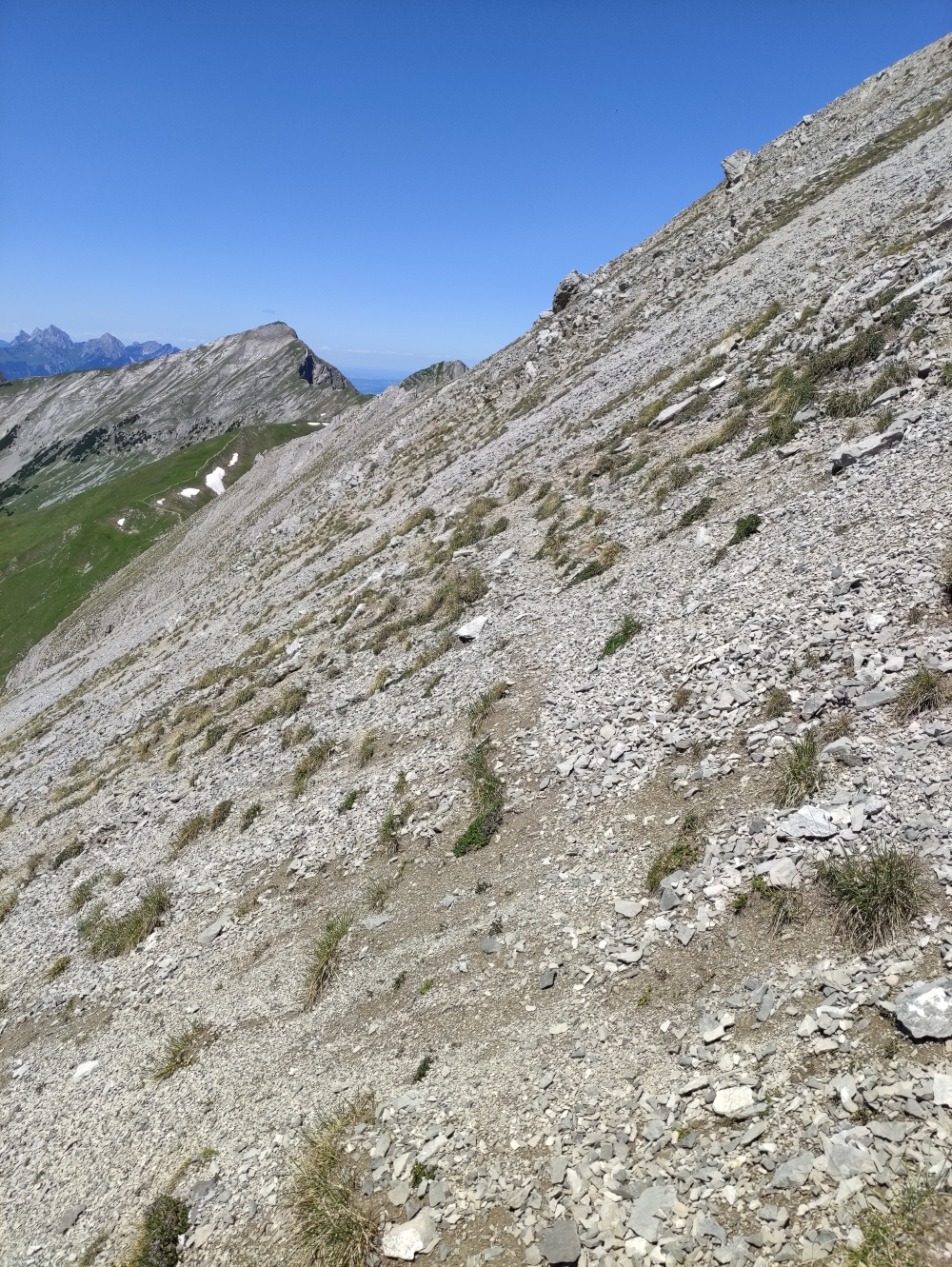 Wanderung Daniel mit Gratüberschreitung: Der Weg um das Büchsentaljoch ist kaum zu sehen