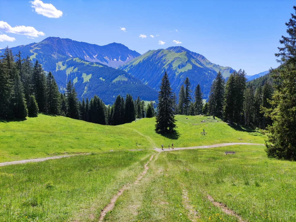 Wanderung Daniel mit Gratüberschreitung: Immer mit bester Aussicht