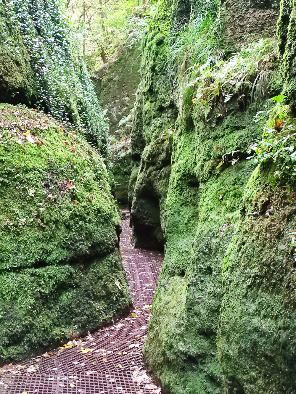 Wanderung Drachenschlucht und Landgrafenschlucht: Wanderung Drachenschlucht und Landgrafenschlucht: Drachenschlucht