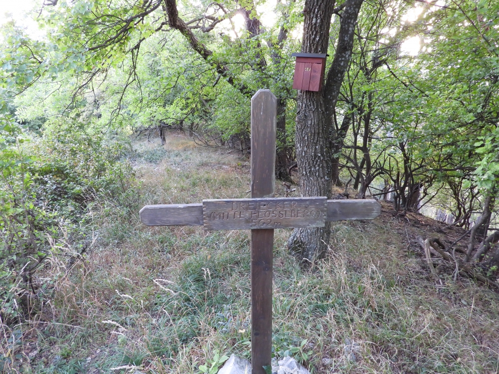 Dreiecker: Gipfelkreuz des Dreiecker (mittl. Flösslberg) 562m