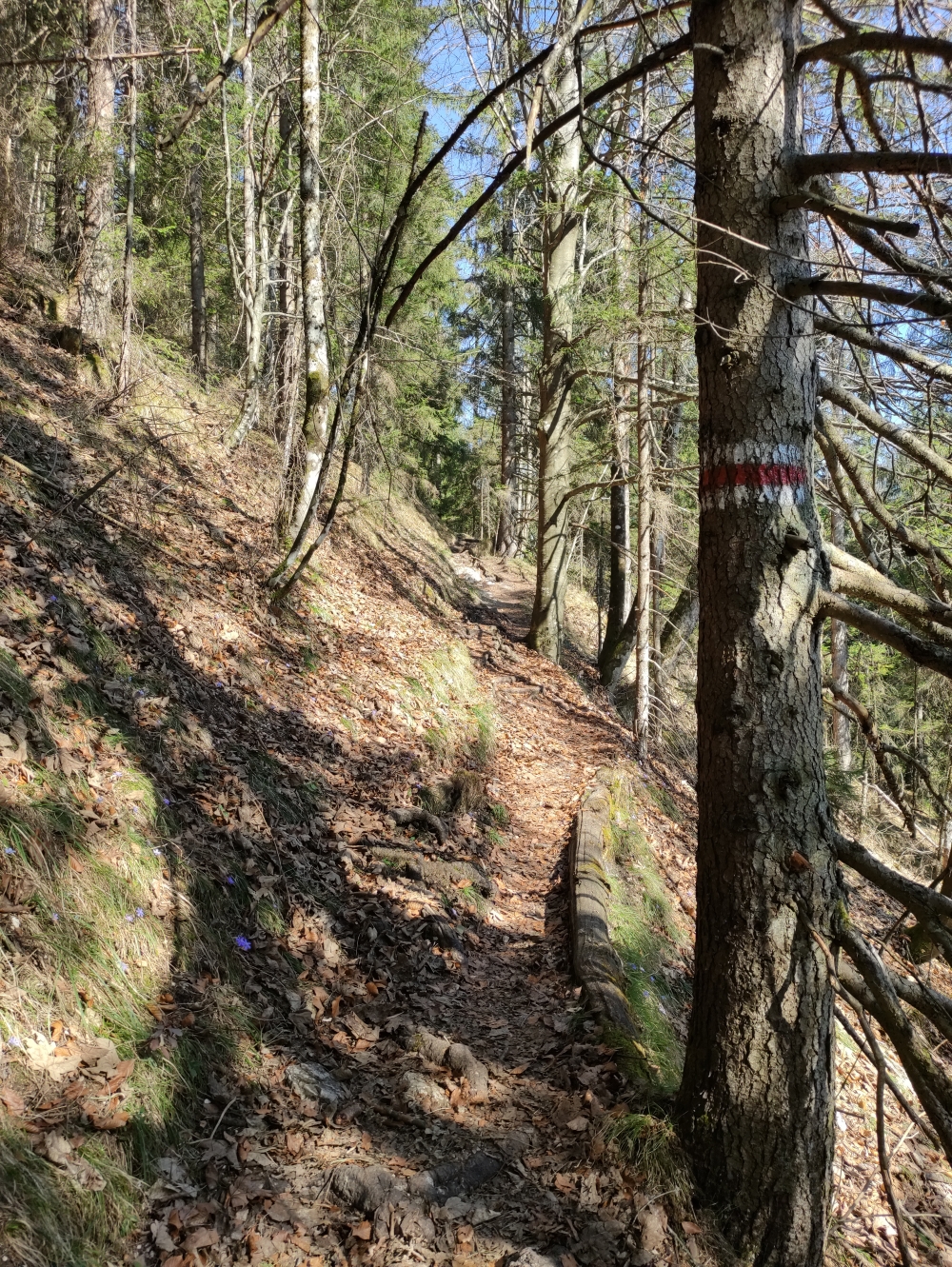 Wanderung Mittlerer Rotofen: Aufstieg zum Rotofensattel 
