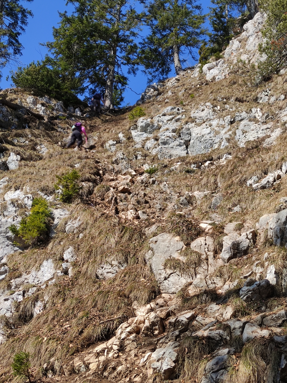 Wanderung Mittlerer Rotofen: Hier kommt man noch ohne Kraxelei hinauf.