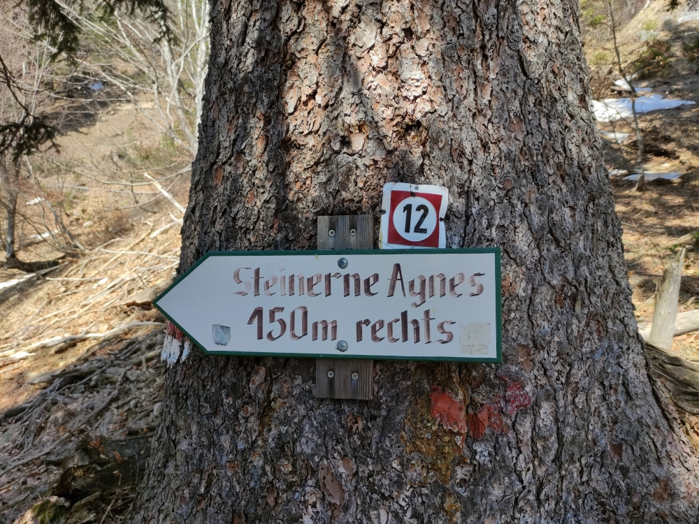 Wanderung Dreisesselberg: Kann man nicht verpassen 