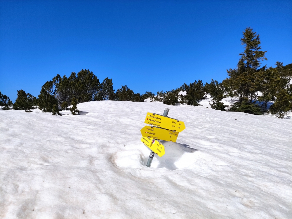 Wanderung Dreisesselberg: Am Sattel