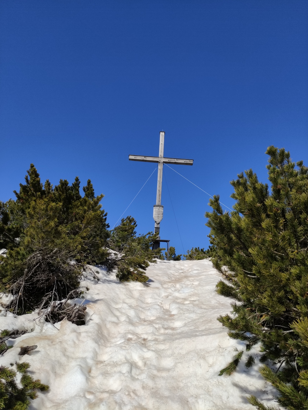 Wanderung Dreisesselberg: Durch die Latschen zum Gipfel 