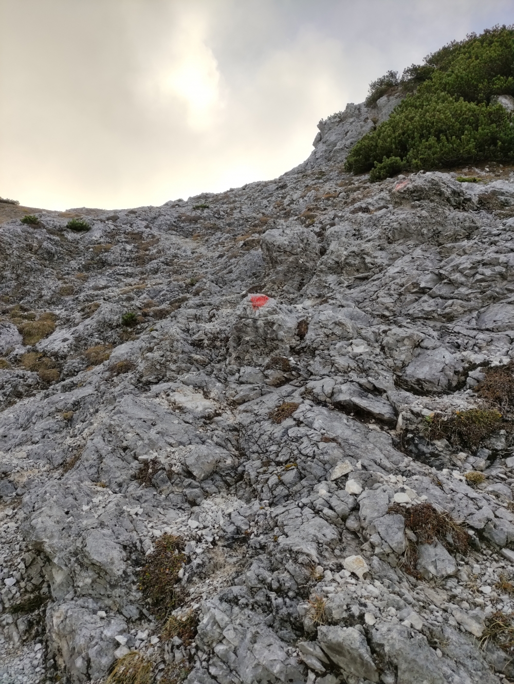 Wanderung Dristenkopf: Schmaler Weg