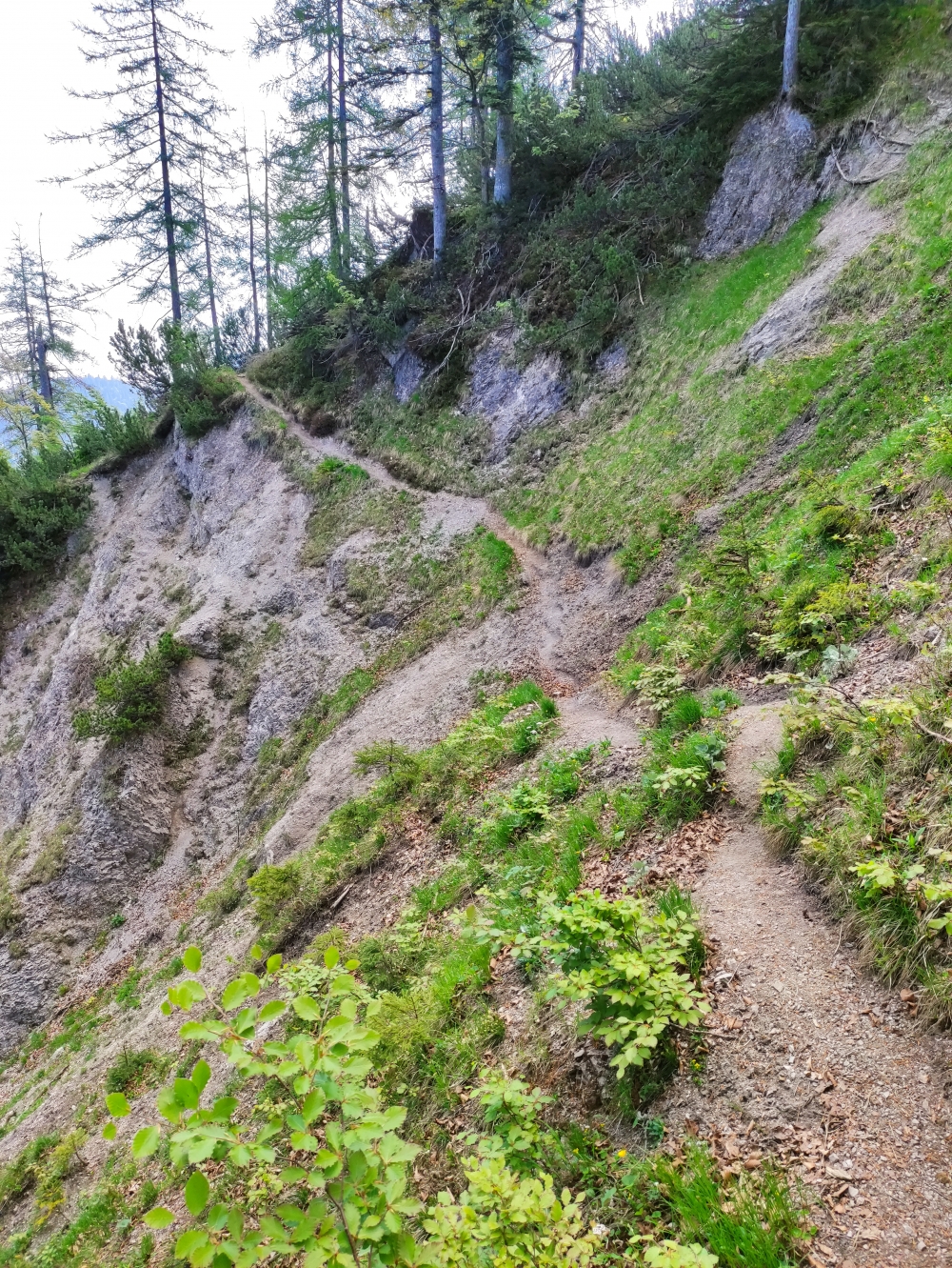 Wanderung Hausgrabenkopf: Kurz vor dem Abzweig zum Hausgrabenkopf wird es kurz sehr schmal